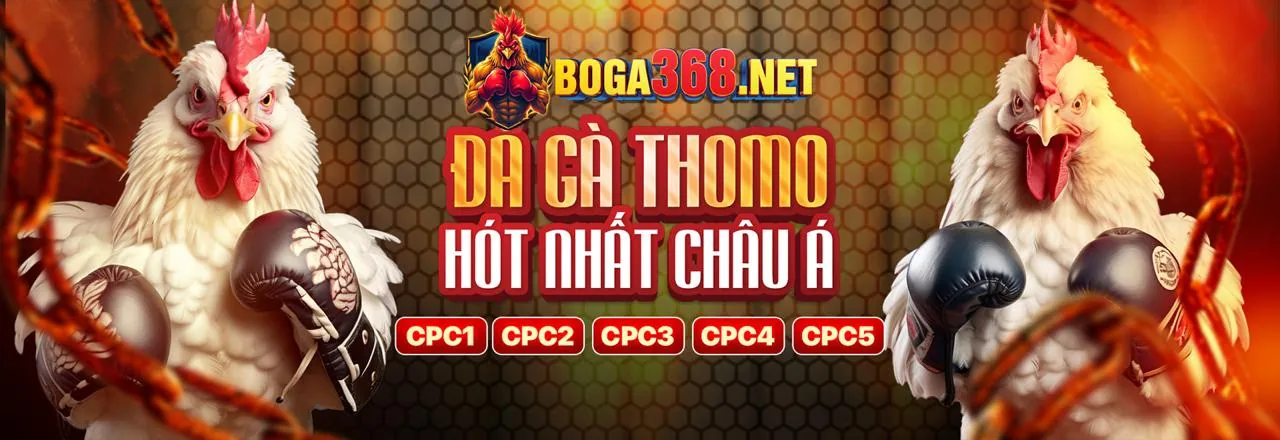 Các trò chơi giải trí tại mmoo win